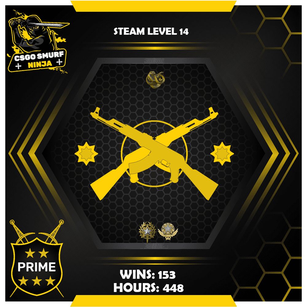 How to get Medals in csgo? CSGOSmurfNinja Service Medal Guide